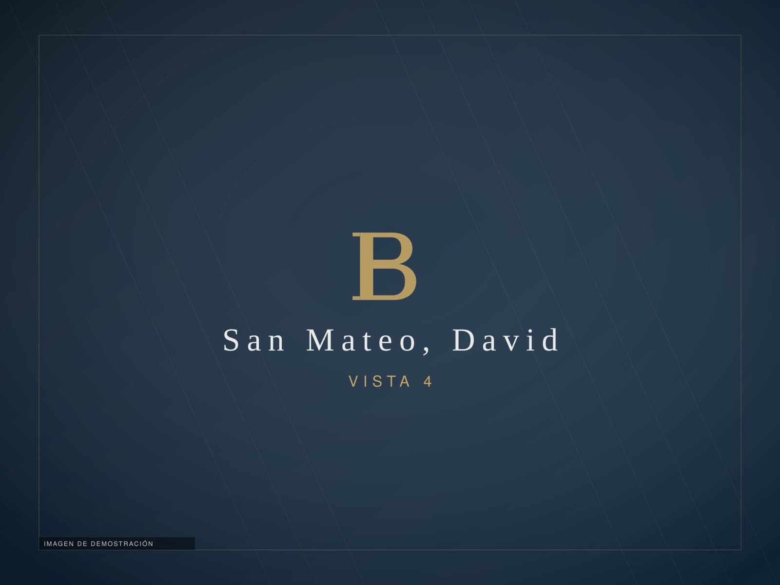 Propiedad comercial en San Mateo, David — imagen de demostración 4