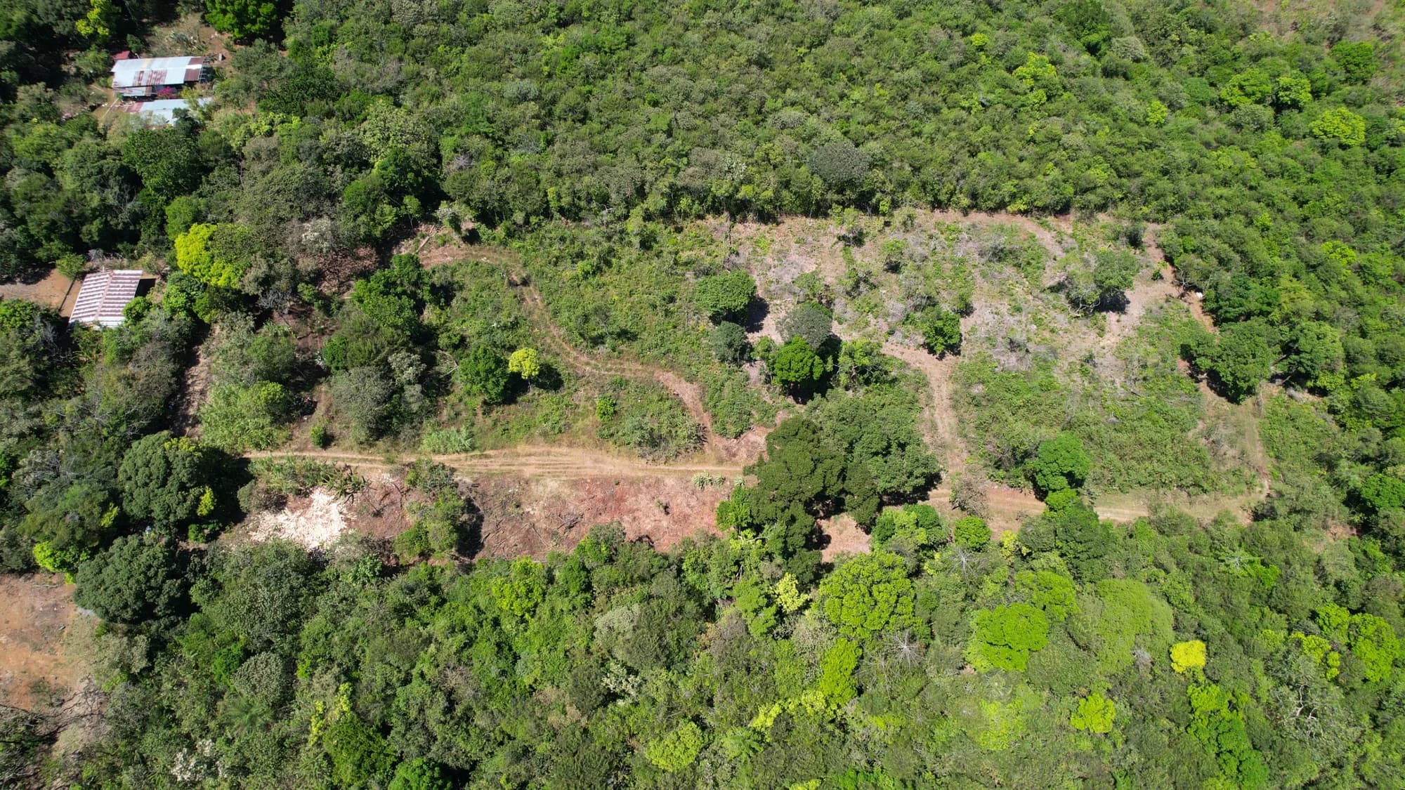 Vista aérea superior del terreno en La Acequia, Potrerillos, mostrando su vegetación, áreas despejadas y entorno natural.