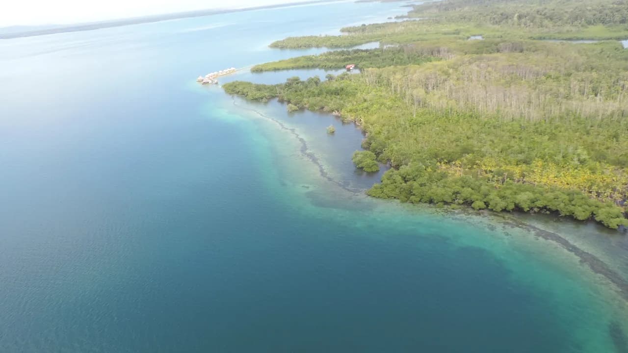 Propiedad Insular de 40 Hectáreas Frente al Mar | Bocas del Toro
