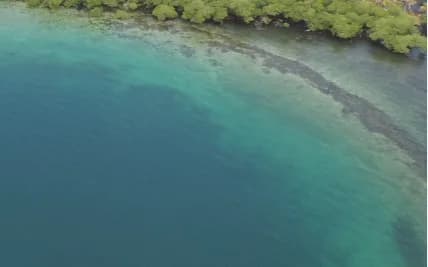 Propiedad Insular de 40 Hectáreas Frente al Mar | Bocas del Toro