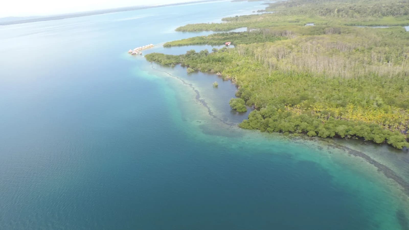 Propiedad Insular de 40 Hectáreas Frente al Mar | Bocas del Toro